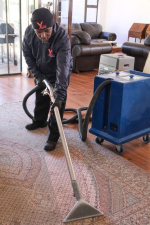 d126d9_3408a7a2eea5401bae3737519b7f9d5e~mv2